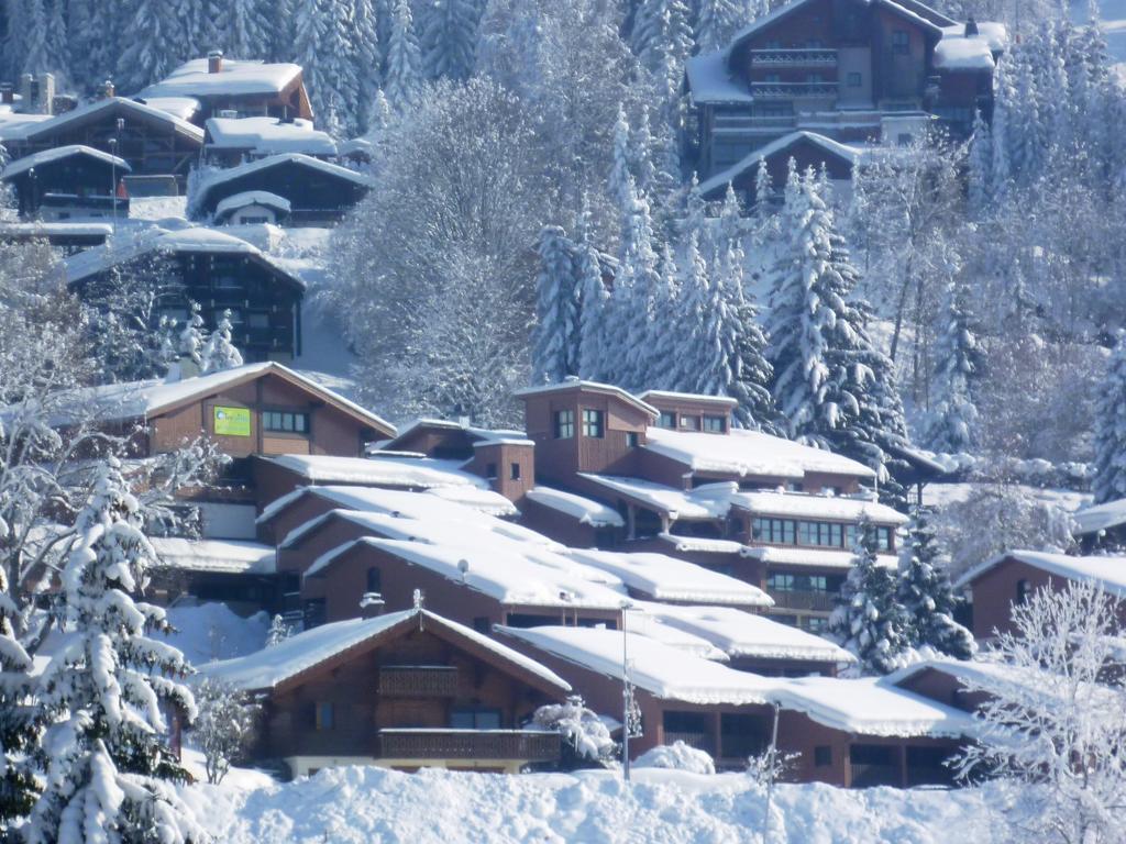 Village De Vacances Les Flocons Verts Les Carroz d'Araches Luaran gambar